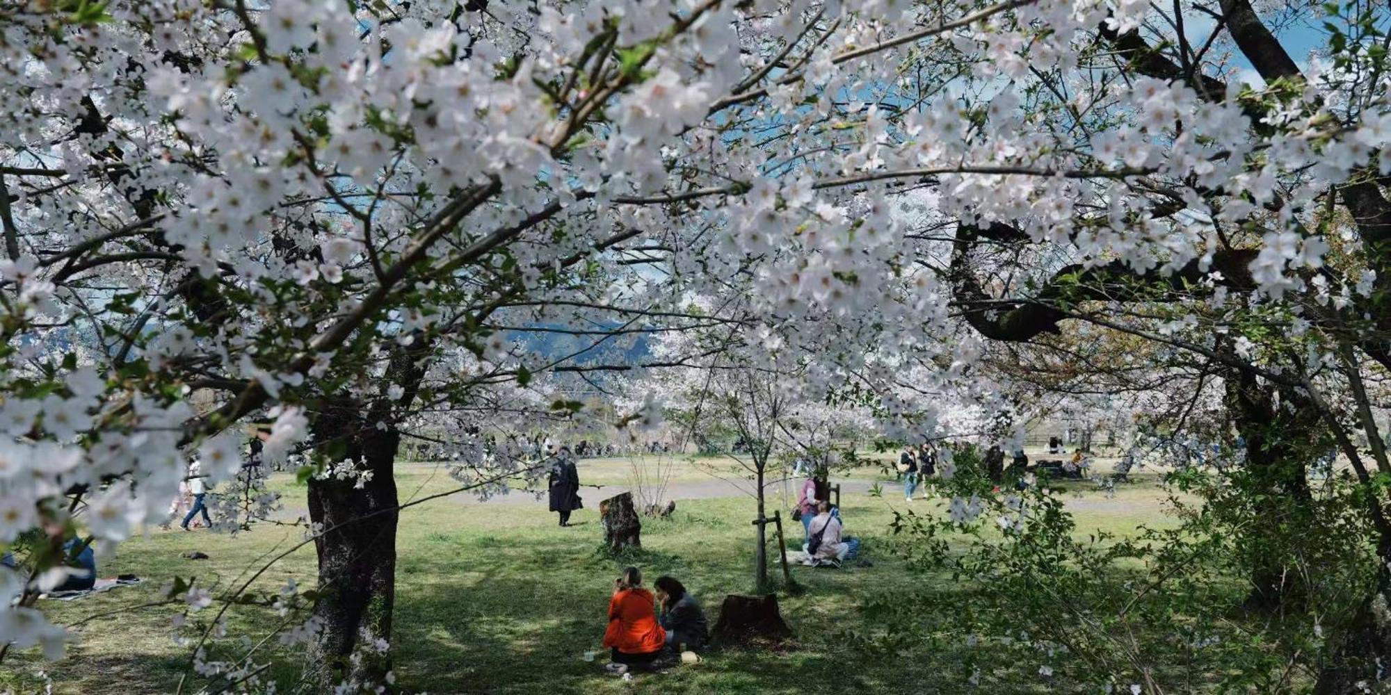 Konayuki Machiya 粉雪の宿 5min Walk From St Villa Kyōto
